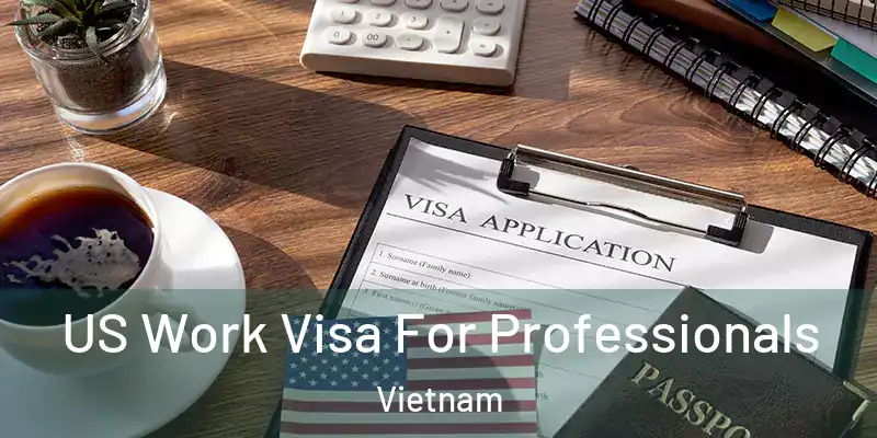  US Work Visa For Professionals Vietnam